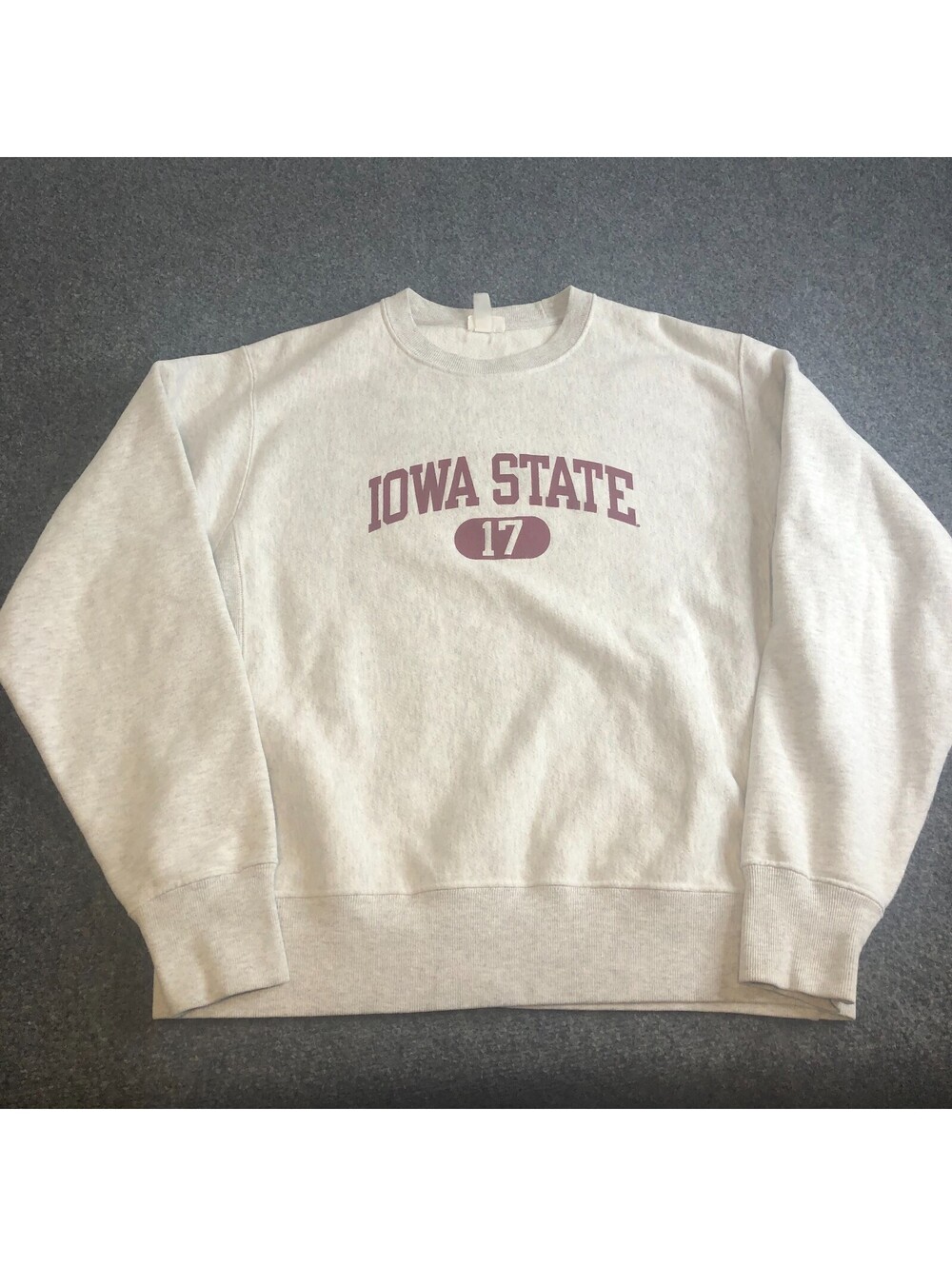 Champion Reverse Weave Iowa State University Sweatshirt Medium Gray Y2K Vintage